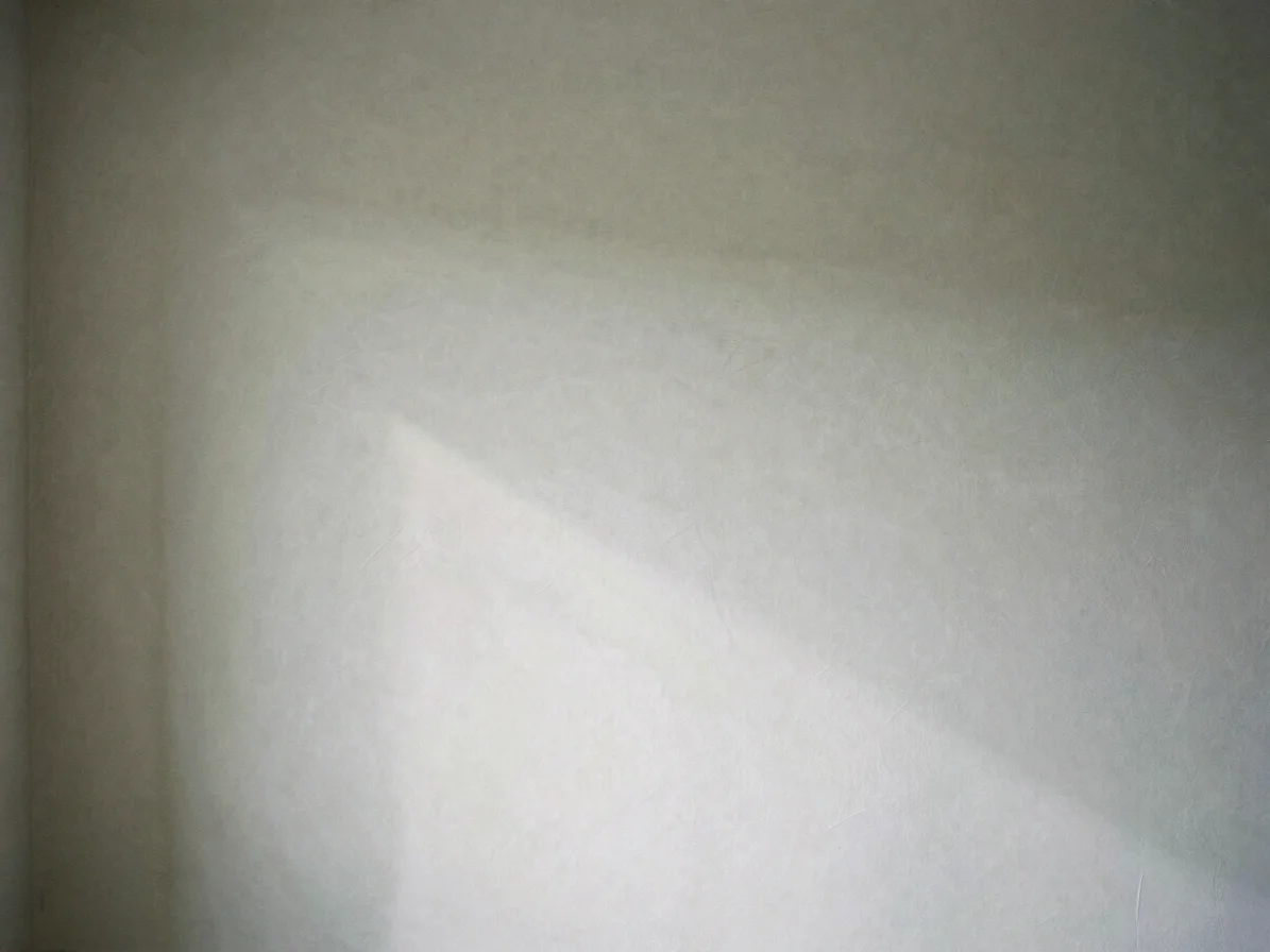 Newly plastered wall surface showing smooth texture under raking window light, 35mm